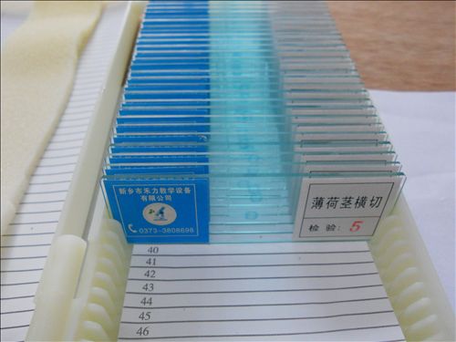 顯微玻片標本